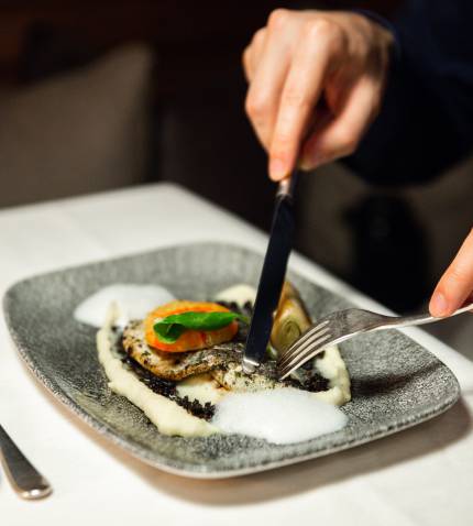 Gourmetküche Fisch Kulinarik im Hotel Entners am See