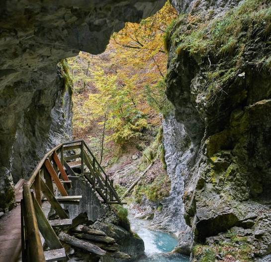 Holzpfad in der Wolfsklamm in Stans