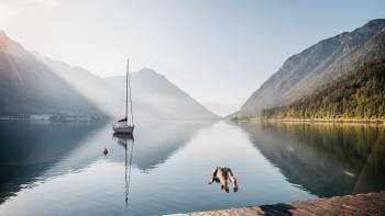Sprung in den Achensee am Morgen