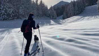 Winterwanderung mit Hund