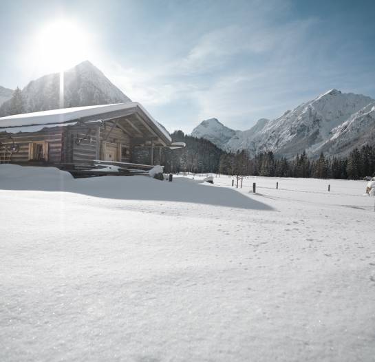 Schneebedeckte Hütte
