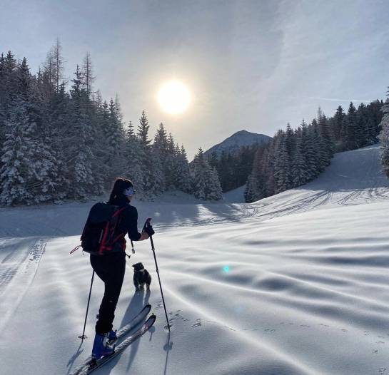 Skilanglauf Winterlandschaft